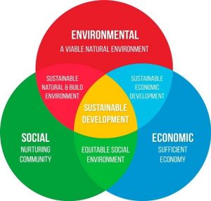 Social Development For Sustainable Development