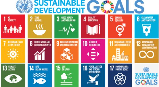 Sustainable Development Goals and targets
