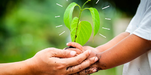 sustainable energy resources