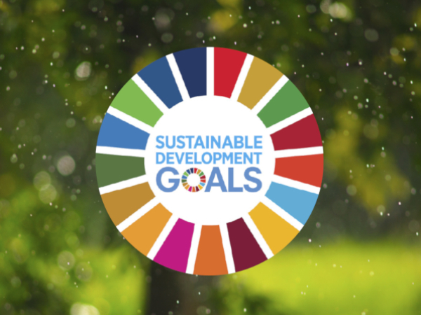 India and Sustainable Development Goals