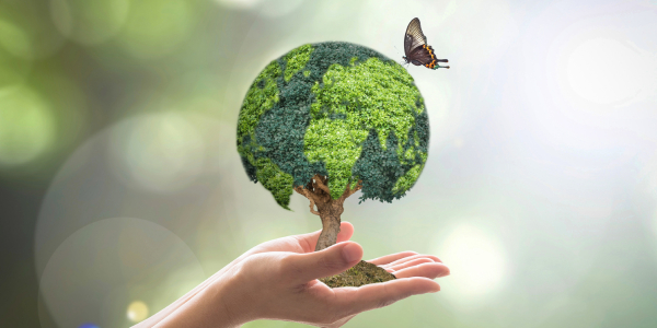 more sustainable sources of energy